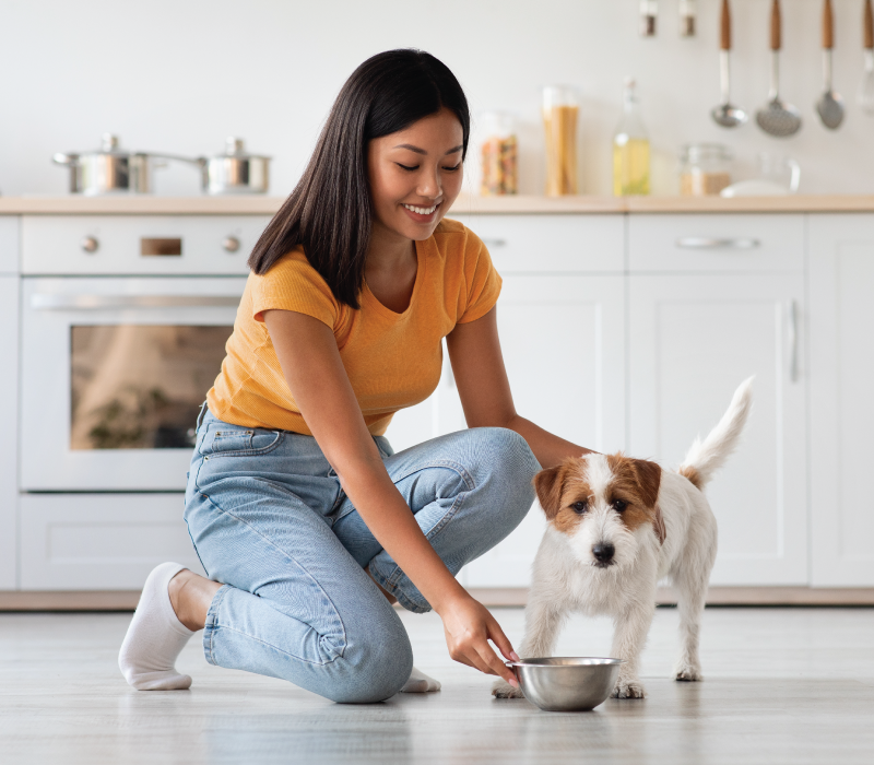 Sanford Insurance Agency Blog - Pet Insurance 101