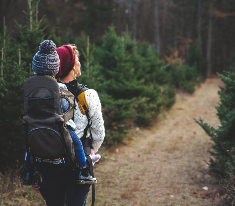 Joe Insurance Agency Blog - Seven Fun Inexpensive Vacation Ideas Without Leaving Town