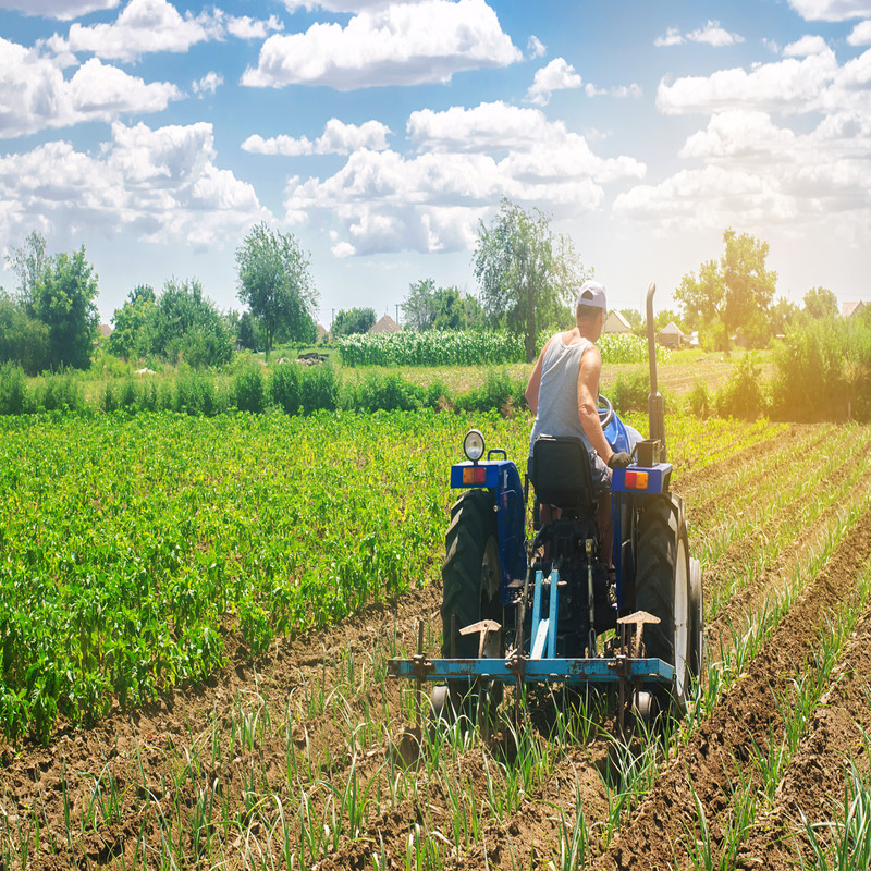 Baldwin Insurance Agency | Insurance for Industries We Serve